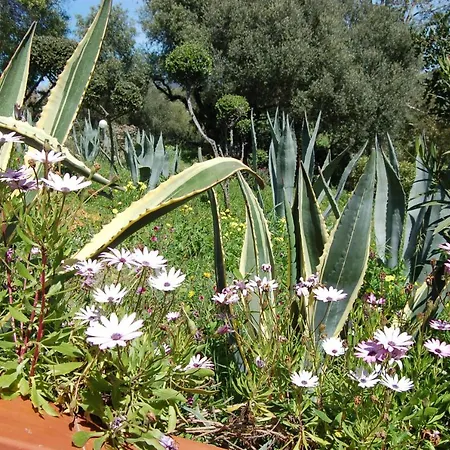 Delle Torri Bed & Breakfast