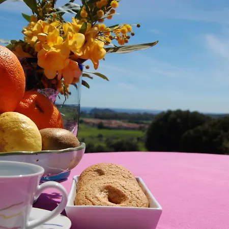 לינה וארוחת בוקר Delle Torri