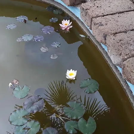 לינה וארוחת בוקר Delle Torri פולה