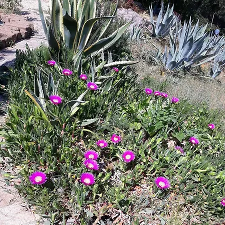 Delle Torri Bed & Breakfast