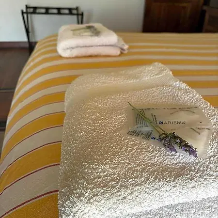Delle Torri B&B 3*